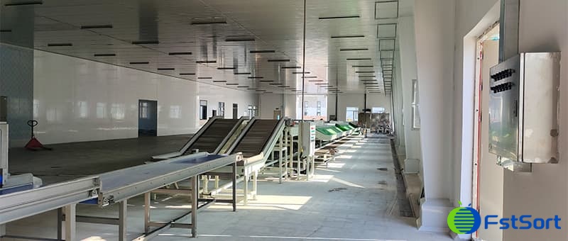 images/1694428550170sweet potato washing drying sorting machine.jpg